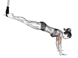 pompes inclinees avec sangles de suspension exercice musculation maison pectoraux