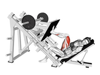 presse a cuisse sur le cote exercice musculation cuisses femme