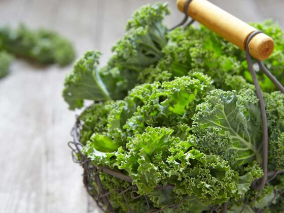 chou kale frise brassicacee