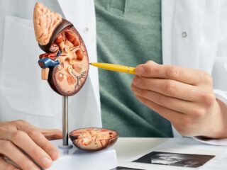 prise de diuretique reins medecin