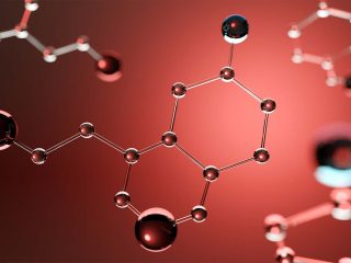 turkesterone musculation sport sante anabolisant naturel plante ecdysteroide hormone steroide