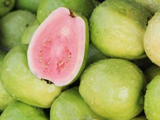 goyave fruit exotique bienfaits sante antioxydants vitamines fibres recettes cuisine beaute cheveux peau digestion immunite