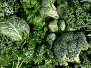 legumes verts feuilles nutriments sante epinards chou frise bette roquette alliés cardio cancer minceur