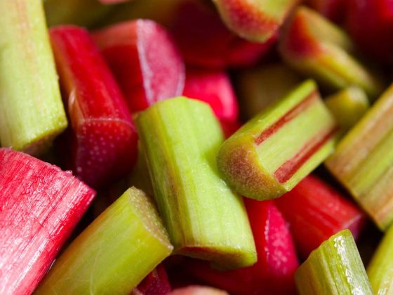 rhubarbe plante potagere tiges rouges vertes feuilles potager jardin