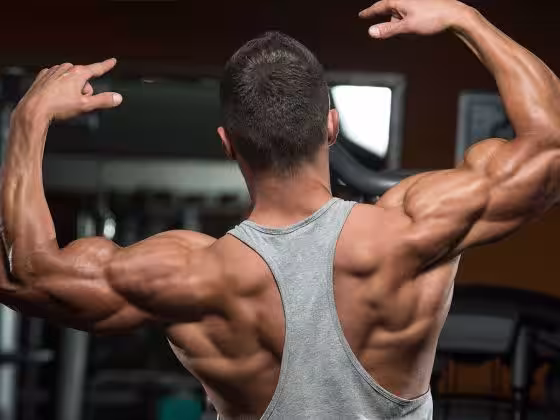 avoir dos v musculation