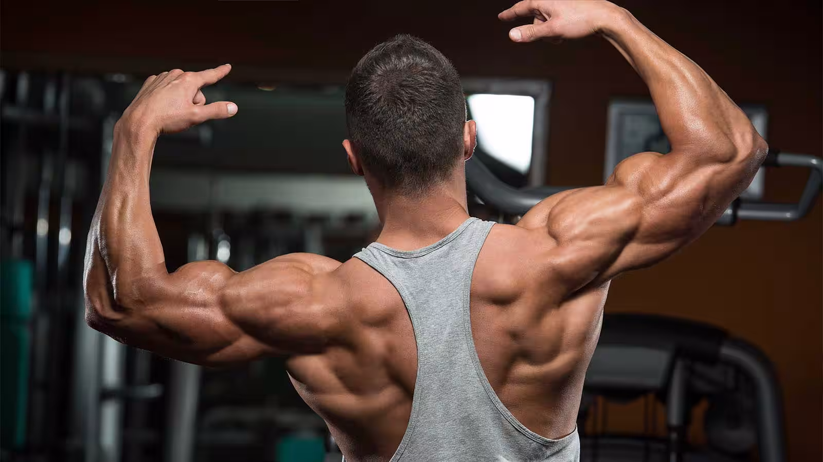 avoir dos v musculation