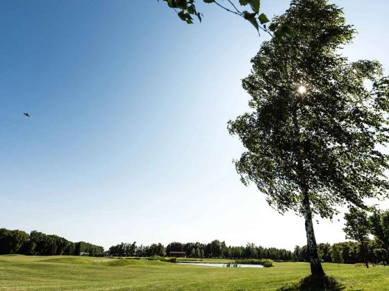 bruit rose sommeil mémoire ondes sonores cerveau repos nuit apaisement détente relaxation