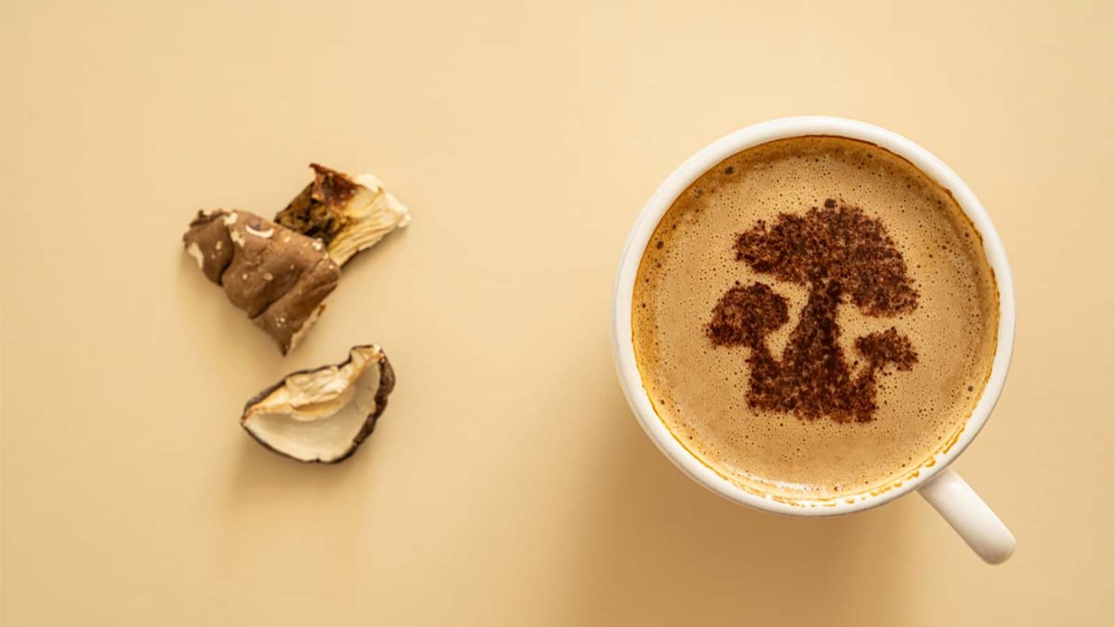 cafe champignons sante bienfaits energie concentration immunite reishi cordyceps chaga