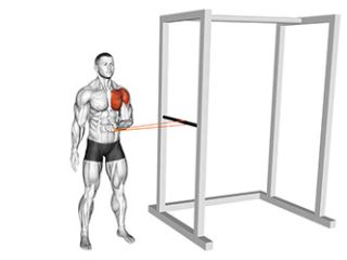 exercice rotation interne epaule elastique renforcement coiffe rotateurs prevention blessures musculation muscu