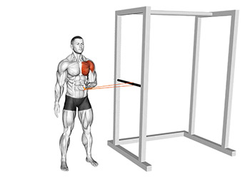 exercice rotation interne epaule elastique renforcement coiffe rotateurs prevention blessures musculation muscu