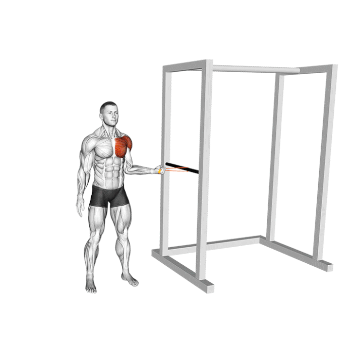 exercice rotation interne epaule elastique renforcement coiffe rotateurs prevention blessures musculation