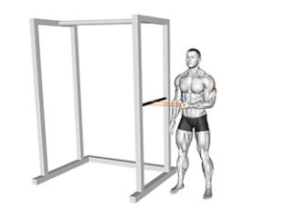 rotation externe epaule exercice renforcement elastique musculation