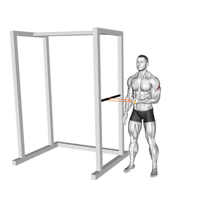 rotation externe epaule exercice renforcement elastique