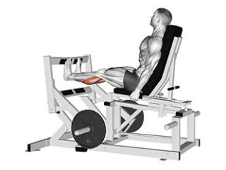extension a la presse a mollets assis exercice musculation