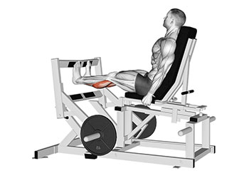 extension a la presse a mollets assis exercice musculation