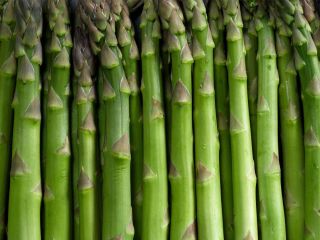 fibres fermentables coupe faim naturel aliments riches satiete controle appetit