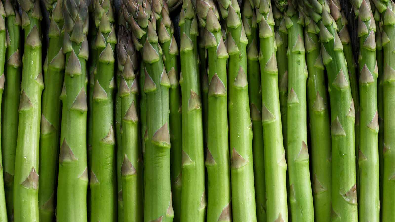 fibres fermentables coupe faim naturel aliments riches satiete controle appetit