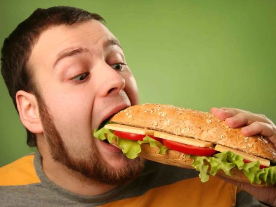 heritage epigenetique arn mitochondriaux alimentation paternelle sante descendants spermatozoides obesite