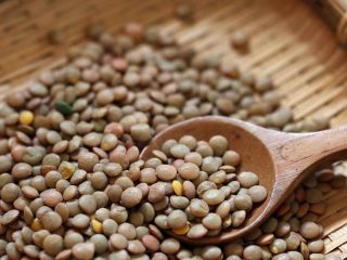 lentilles graines sante fibres proteines mineraux antioxydants glycemie cholesterol