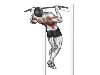 rocky pull-up exercice muscu dos