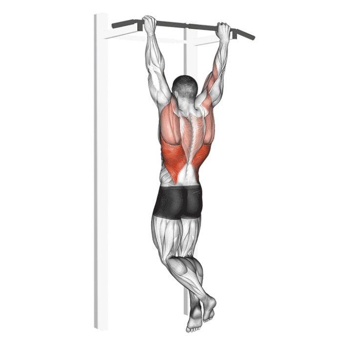 rocky pull-up