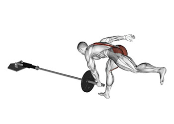 single leg landmine RDL exercice muscu ischio