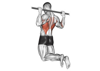 traction barre derriere rear pull up exercice dos musculation
