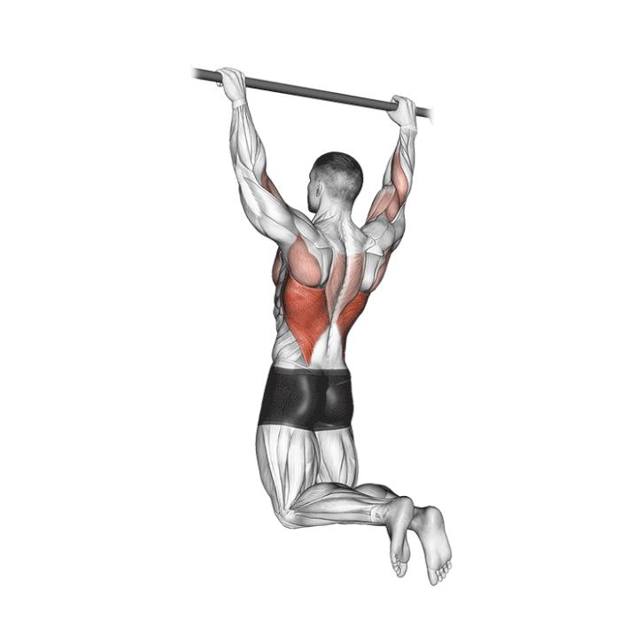 traction barre derriere rear pull up