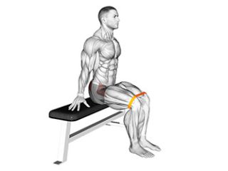 abduction de la hanche assis avec elastique exercice muscu
