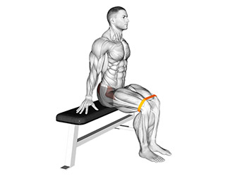 abduction de la hanche assis avec elastique exercice muscu