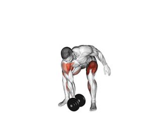 arrache avec haltere exercice haltero