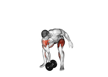 arrache avec haltere exercice haltero