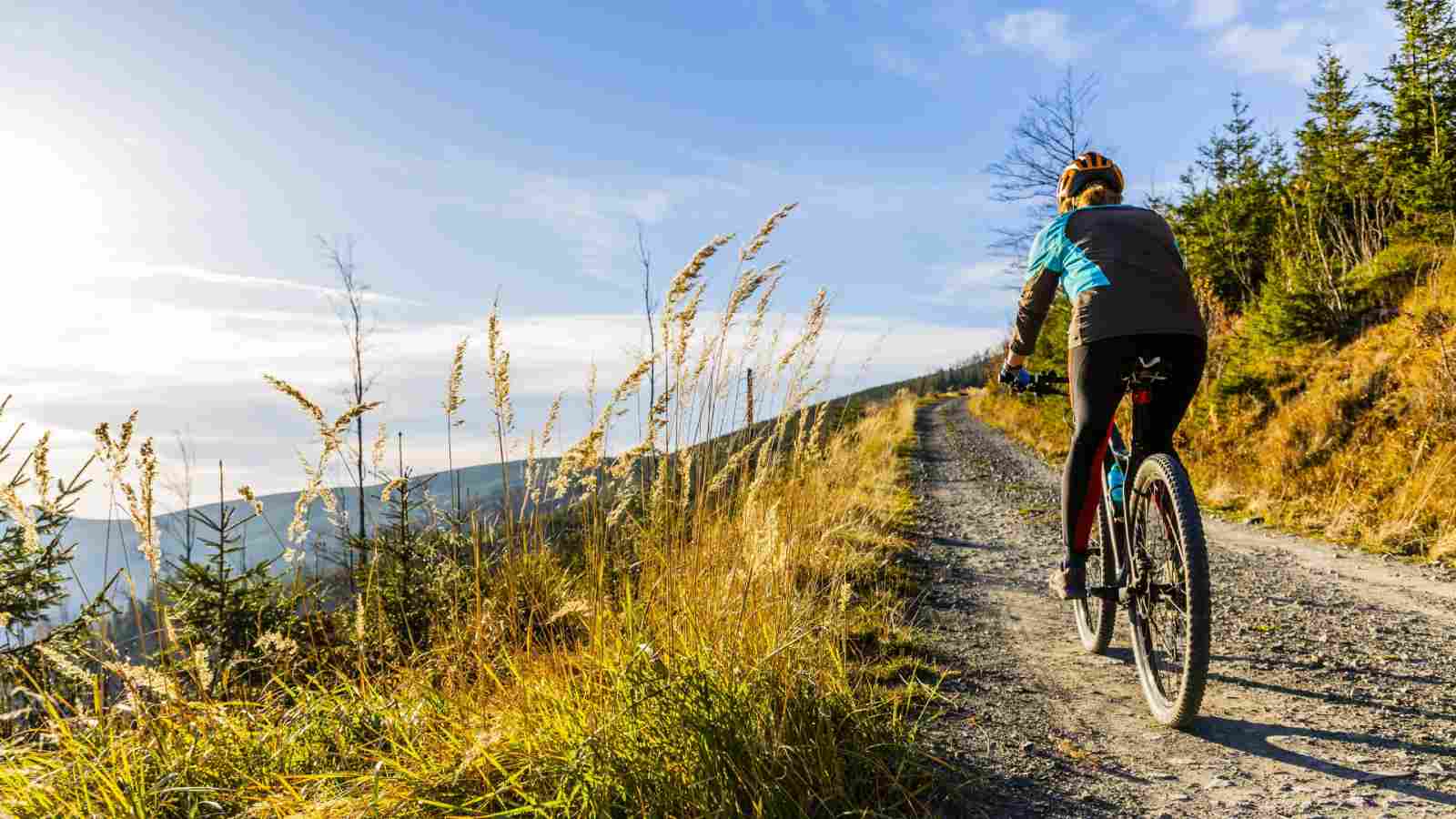 exercice cancer sein velo