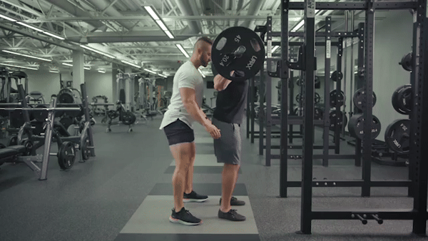 spot squat
