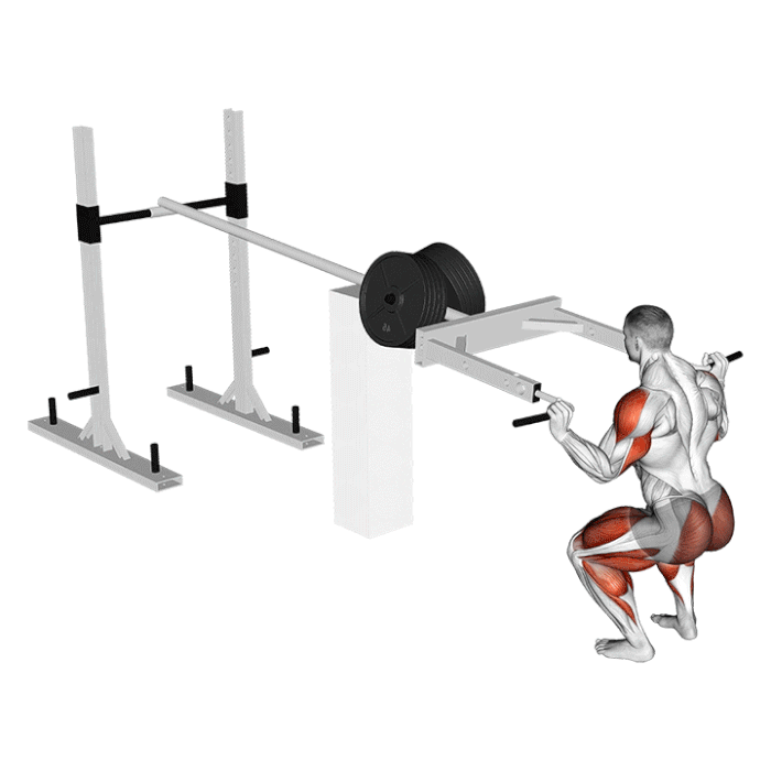 strongman viking press