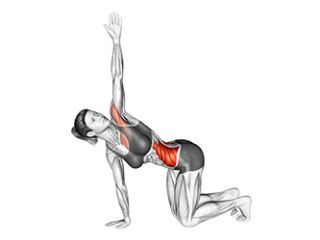 etirement rotation dos genoux posture flexibilite mobilite tensions musculaires guide