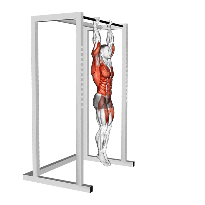 front lever exercice complet corps athlete musculation poids du corps abdominaux dos