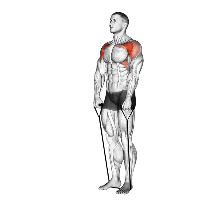 front raise elastique exercice epaules musculation renforcement technique