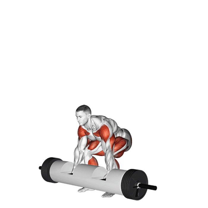 log lift strongman musculation force puissance technique