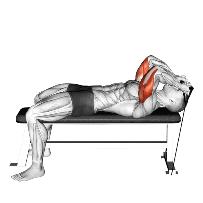 skull crusher bande elastique musculation triceps