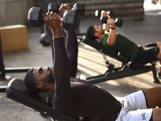 musculation proteine whey alimentation glucide lipide entrainement force muscle croissance masse developpement