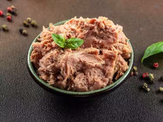 thon conserve contamine mercure sante publique risque sanitaire bloom foodwatch