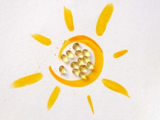 vitamine D carence maladies auto immunes thymus systeme immunitaire enfants prevention supplementation