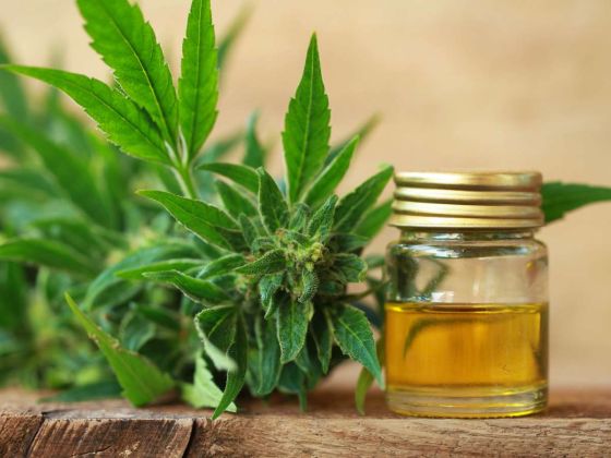 cbd alcool envie craving cerveau nac addiction traitement etude