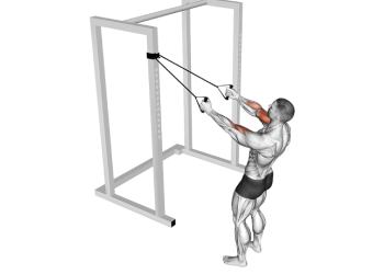 curl biceps croisé à l’élastique