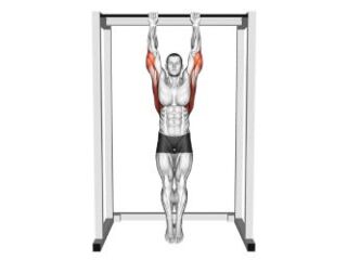 dead hang suspension passive cat
