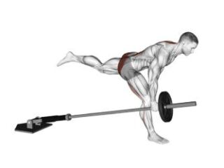 deadlift jambes tendues unilatéral avec landmine