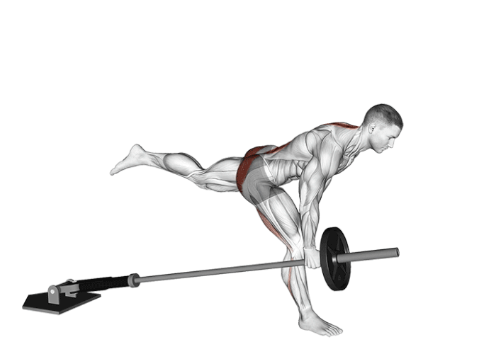 deadlift jambes tendues unilatéral avec landmine