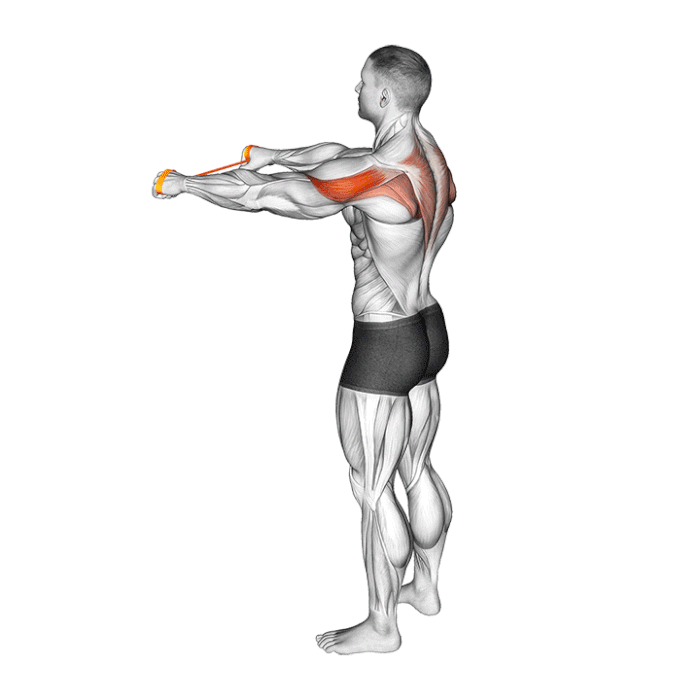 ecarte arriere elastique