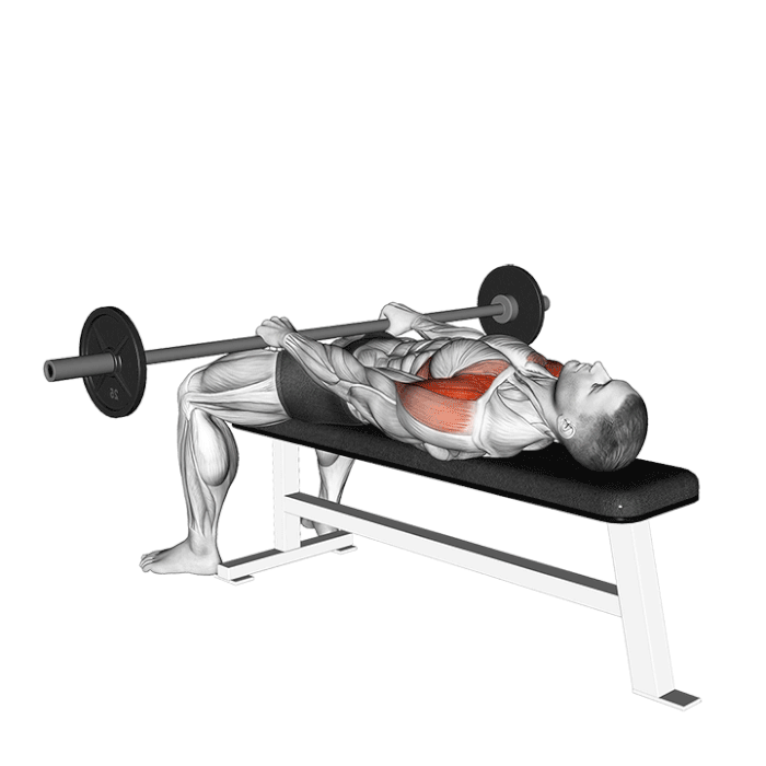 elevation frontale allongee barre